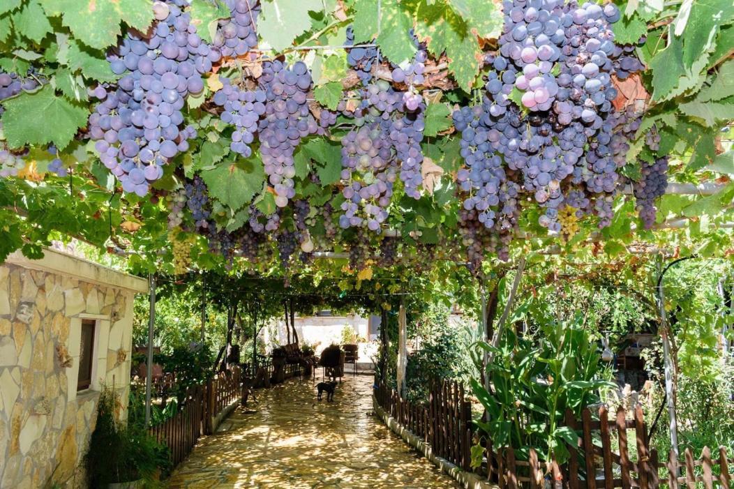 Dimitris'S Country House Agia  Luaran gambar
