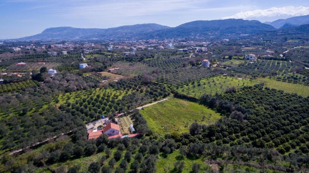 Dimitris'S Country House Agia  Luaran gambar