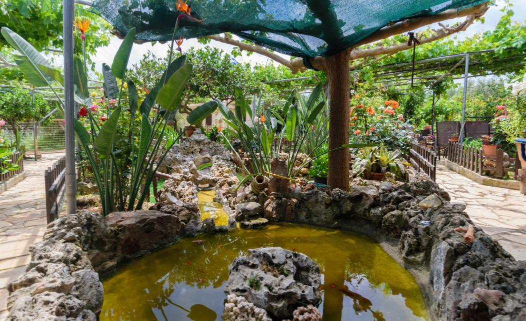 Dimitris'S Country House Agia  Luaran gambar