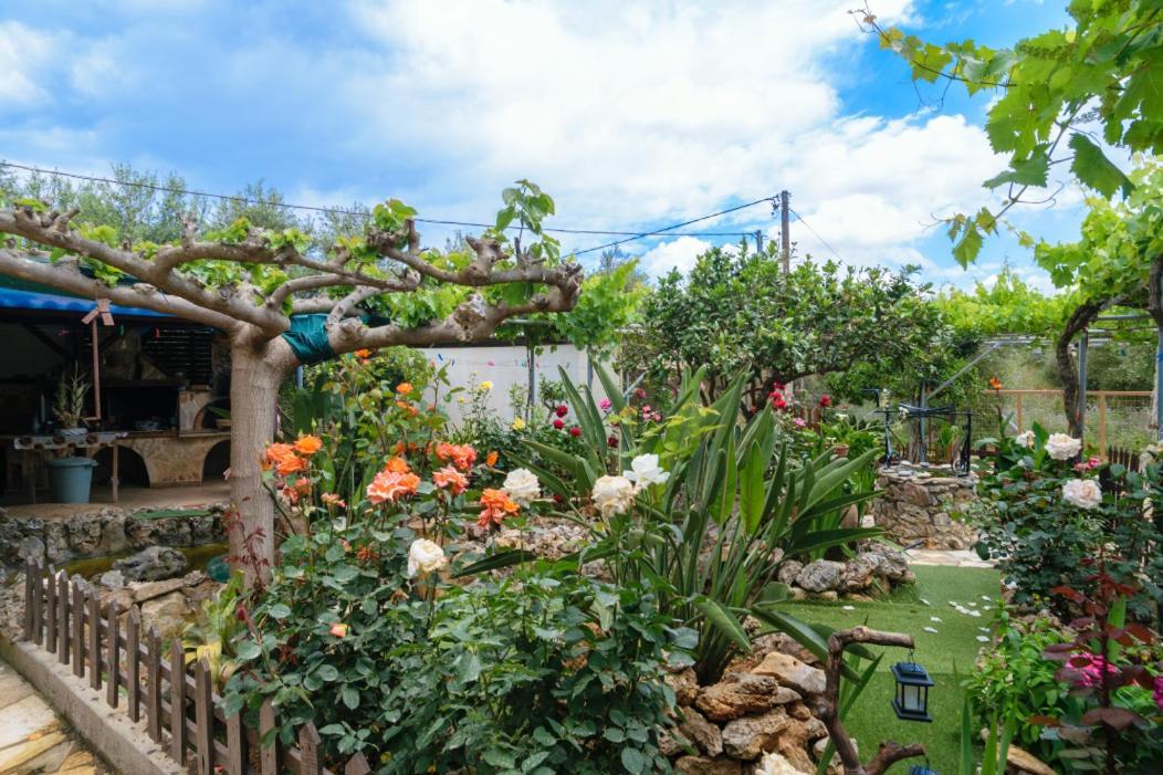 Dimitris'S Country House Agia  Luaran gambar