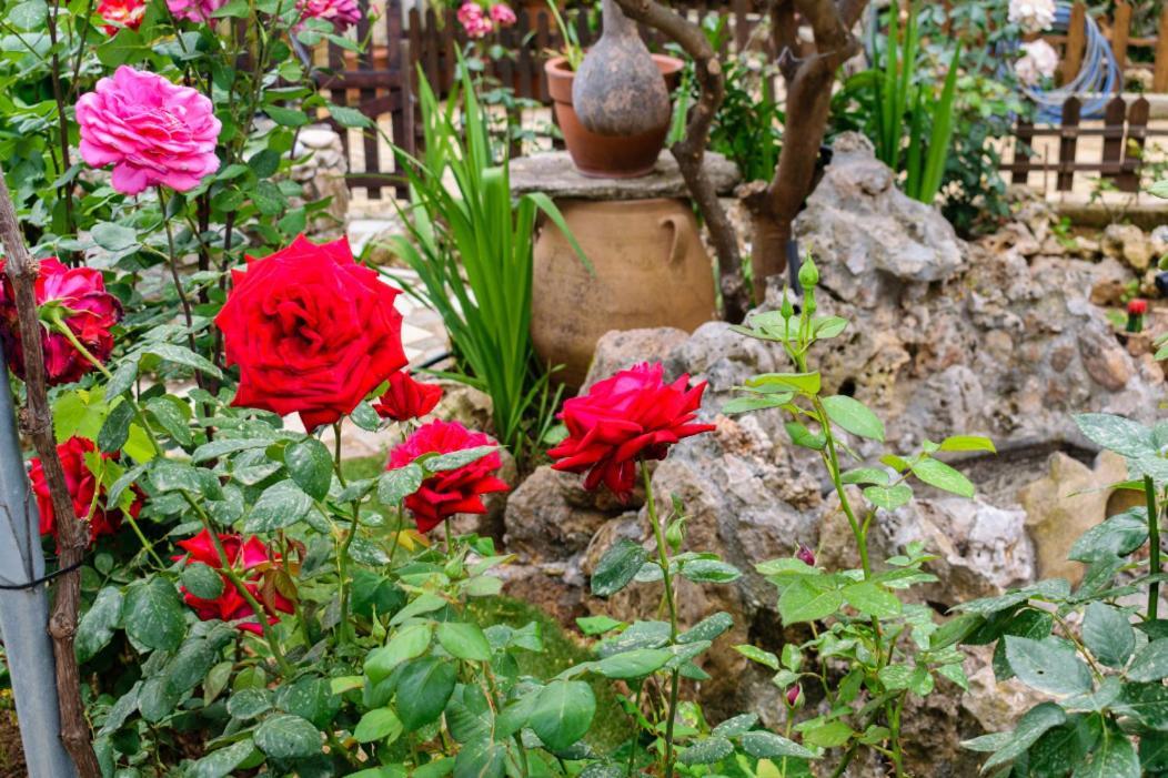 Dimitris'S Country House Agia  Luaran gambar